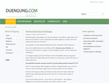 Tablet Screenshot of duengung.com